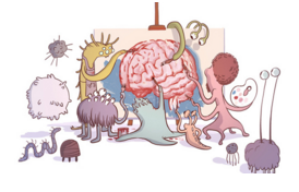 Cell子刊：人类第二“大脑”——肠道，我们还需要知道更多