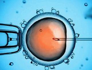 NEJM：山大陈子江团队首次证明冻存胚胎移植活产率更高