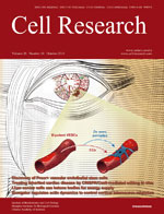 Cell <font color="red">Research</font>：北大发表CRISPR新成果