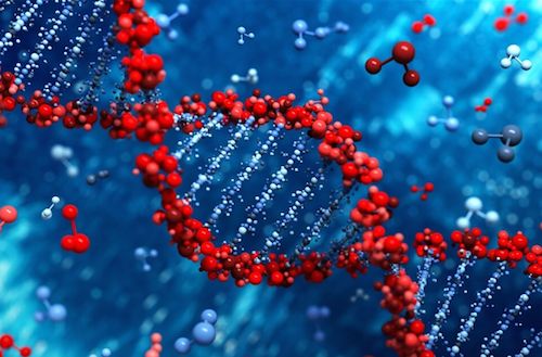 Human Molecular Genetics：基因治疗展现治疗<font color="red">罕见</font>致命疾病的新希望