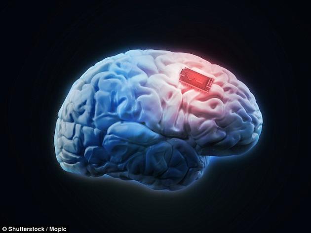 为了将短期记忆转化为长期记忆，大脑会将电信号以一种特殊的编码形式释放出去。而这种大脑芯片释放的电信号与大脑产生的信号相符，模拟了产生长期记忆的自然过程。