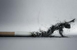 青少年的感知和行为可预测其吸烟的意图