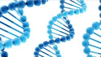 Aging：用DNA分析，你会比同龄人先“go die”吗？