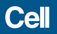 Cell：欧洲人和非洲人免疫系统<font color="red">不相</font>同
