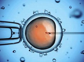 第二代试管婴儿男性的精子浓度仅为普通男性一半