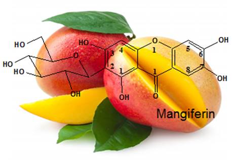 BioFactors：<font color="red">芒果</font>苷（Mangiferin）研究特刊