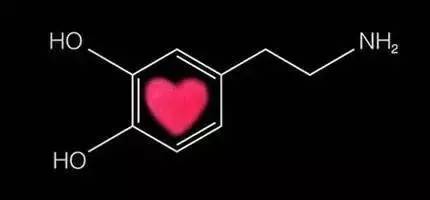 <font color="red">从医</font>学角度看 爱是一场复杂的化学反应