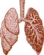 Circulation：房颤消融术后肺静脉狭窄，单纯球囊血管成形术or植入支架？