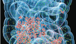 Cell：3篇文章绘制肠道微生物、遗传、环境因素对免疫系统的影响