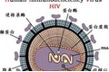 【盘点】近期HIV重要研究一览