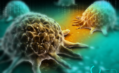 PNAS：五个关键因子——癌症免疫疗法的瓶颈
