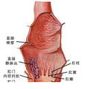 【盤點】近期結腸癌相關重磅研究，你必須了解