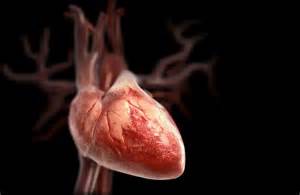 Circ Heart Failure：他汀<font color="red">类药物</font>可提高心脏移植者的生存率