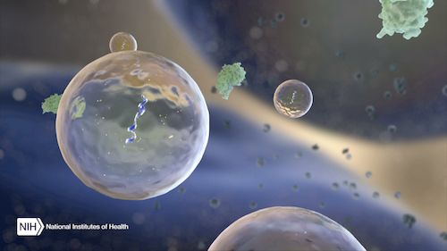 Oncogene：肿瘤微环境通过外泌体向癌细胞传授生存技巧