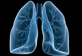 支气管哮喘中医证候诊断标准（2016版）