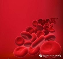 成年费城染色体阳性急性淋巴细胞白血病患者的疾病流行率与治疗效果<font color="red">调研</font>