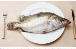 补充DHA，吃鱼还是“鱼油”？