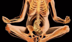 X射线下的孕妇和人体<font color="red">艺术</font> 震撼！