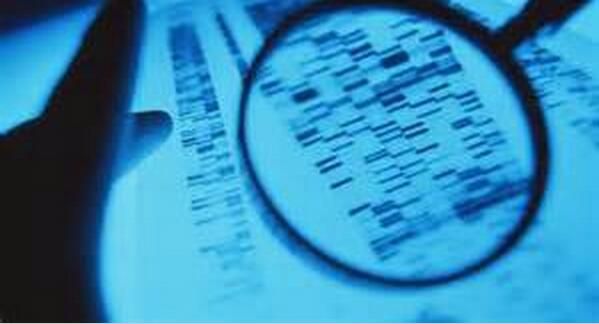 Nat Methods：新型DNA剖析技术或可抵御癌症耐药性的发生