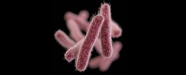 王牌对王牌：用细菌干掉耐药性极高的超级病菌