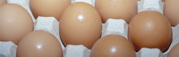 Lancet：湿疹婴儿鸡蛋过敏怎么办？