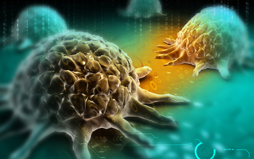 Cancer Res：中山大学康铁邦教授发表结直肠癌新研究成果