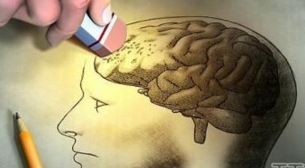 脑海中的“橡皮擦”， 中国科学家找到办法删除恐怖记忆