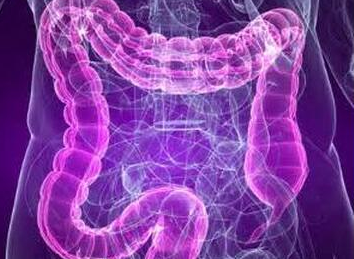 BOA：揭秘饮食、肠道微生物组和结直肠癌发生之间的关联