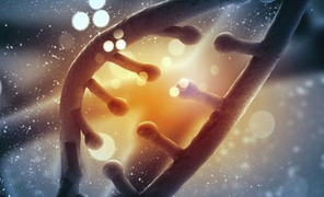 Nature、Cell：高效基因剪刀CRISPR，哪里不服剪哪里！