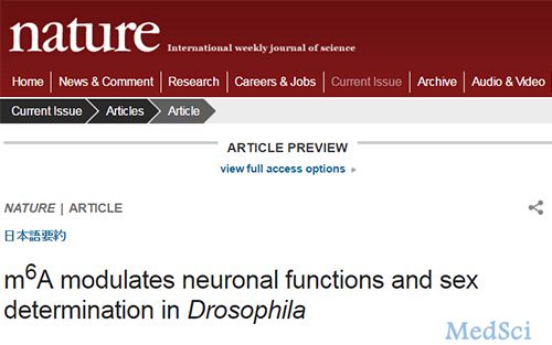 Nature：揭示RNA修饰在大脑功能和性别决定中的重要作用