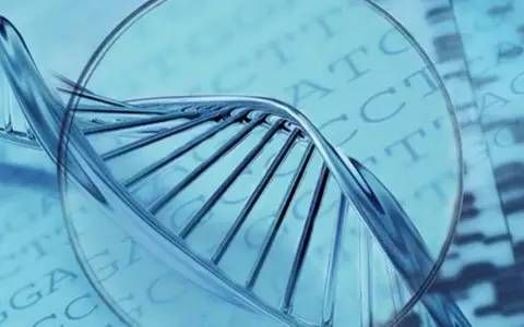 “聚焦 ctDNA，开启肿瘤精准治疗”高峰论坛
