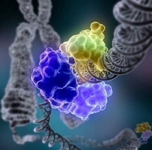 利用<font color="red">分子</font>乐高产生更优的CRISPR基因编辑工具