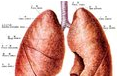 2016年<font color="red">肺癌</font>研究进展，治疗格局大改变！