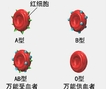 专家辟谣：日本发现新血型与福<font color="red">岛</font>核泄漏无关