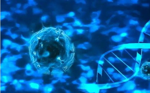 江苏疾控首次鉴定一种新型环状单链DNA病毒