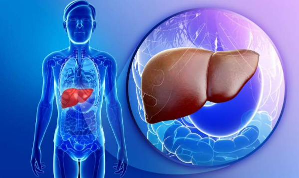 肝移植的新方法：使用损伤的肝脏替换垂死的肝脏