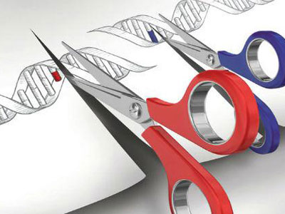 NAT GENET：CRISPR/Cas9发现治疗艾滋病新靶<font color="red">点</font>