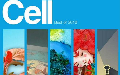 Cell：2016年度<font color="red">最佳</font><font color="red">文章</font>出炉！