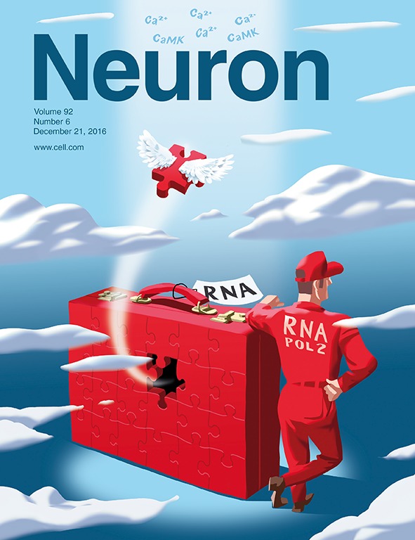 Neuron封面故事：为何大脑<font color="red">反应</font>如此快？神经元：我有特别的转录技巧