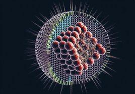 JAMA:生殖器疱疹感染的血清筛查系列之一：美国预防服务工作组建议声明