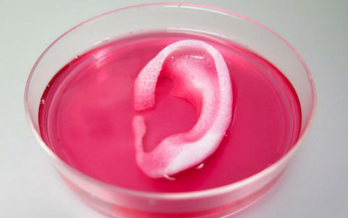 Nature子刊：生物3D打印再升级，重塑人耳！