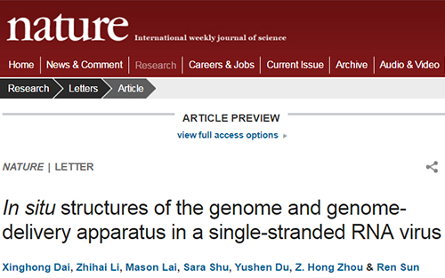 Nature：时隔一年 华人教授再次发表文章解析RNA病毒