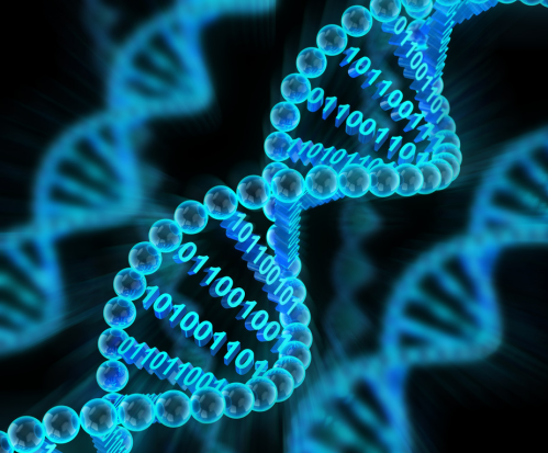 从活体电脑到纳米机器人：DNA不仅仅是基因