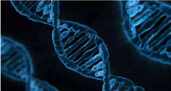 再生医学：基因工程改造细胞治愈不治之症