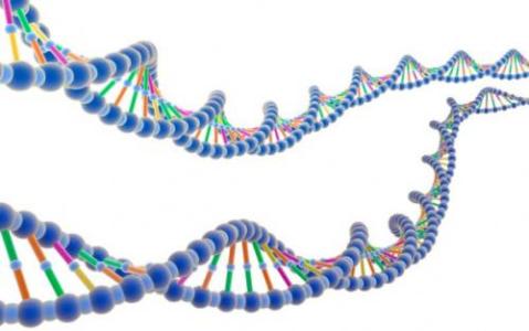 Cell再发关闭CRISPR-Cas9新方法