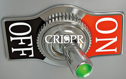 科学家再次发现CRISPR“关闭<font color="red">开关</font>”