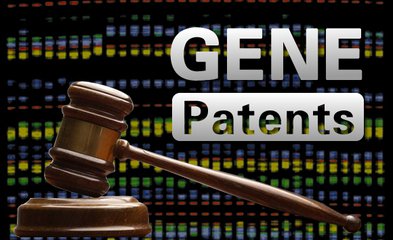论欧盟基因专利的保护范围及启示