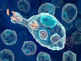 Cell Res：杨巍维教授发现PKM2抑制细胞凋亡的新机制