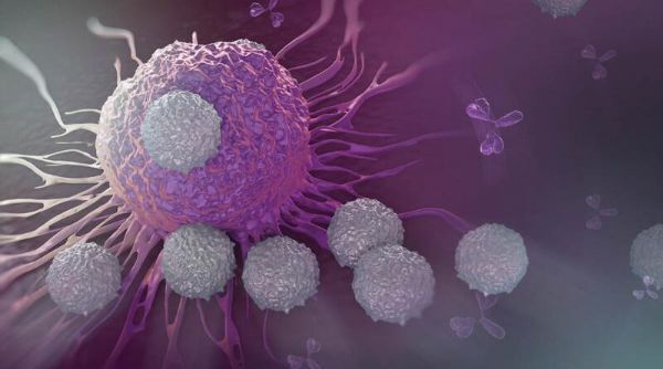 eLife：突破！阐明癌症逃脱免疫疗法靶向作用的新机制