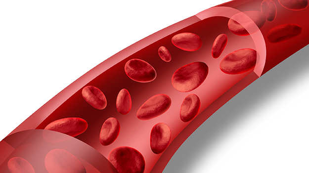 2016 ESO<font color="red">指南</font>：无活动能力急性缺血性卒中患者<font color="red">静脉血</font>栓栓塞的预防
